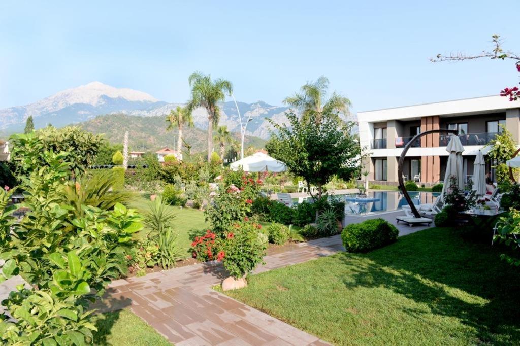 Mandalina Apartments Ağva Eksteriør billede