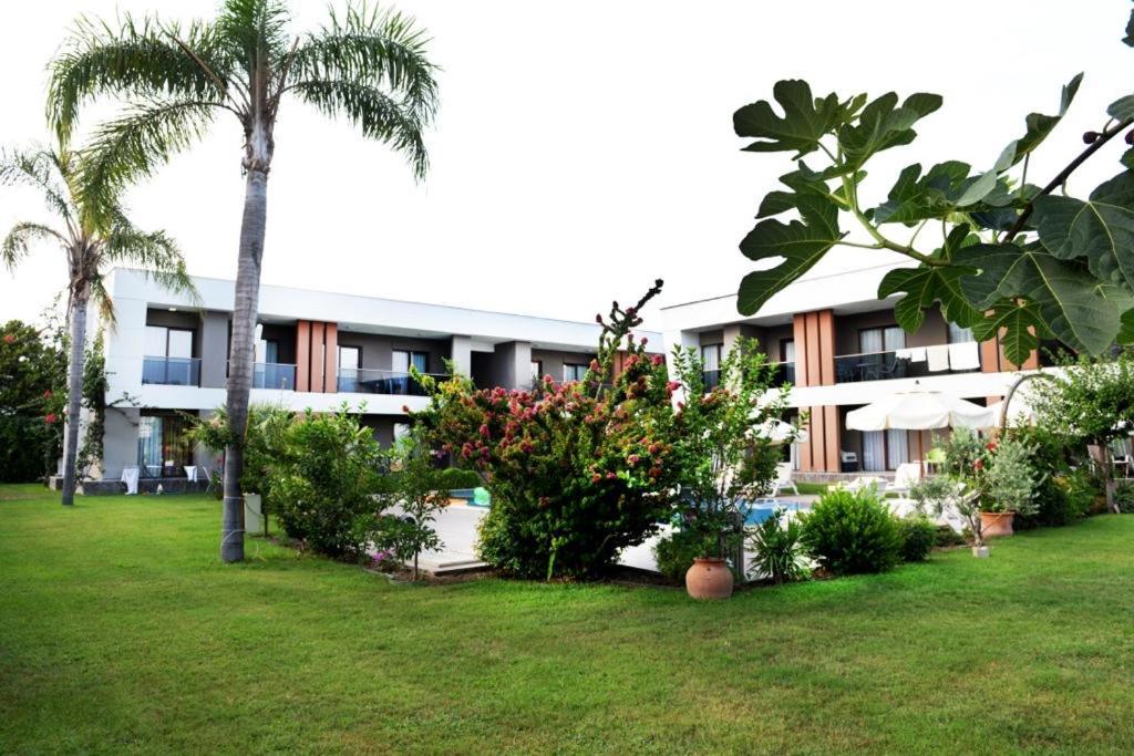 Mandalina Apartments Ağva Eksteriør billede