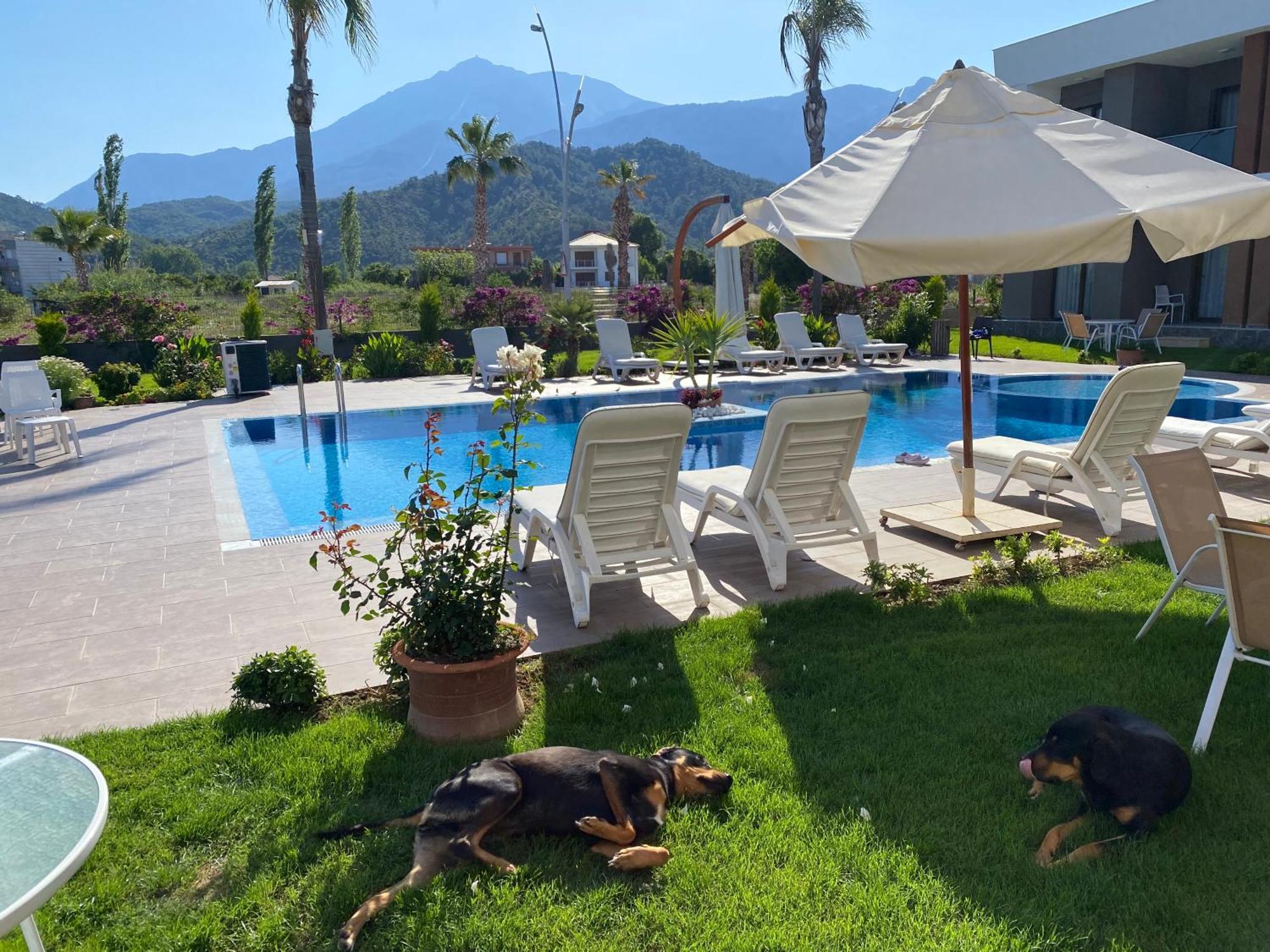Mandalina Apartments Ağva Eksteriør billede